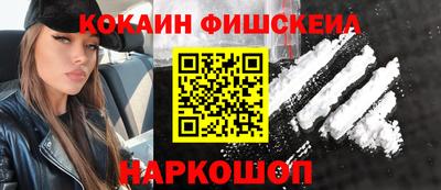 гидропоника Камышлов