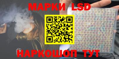 гидропоника Камышлов