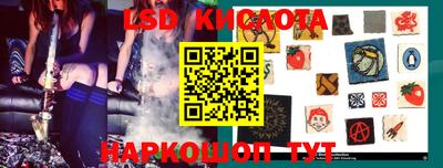 гидропоника Камышлов