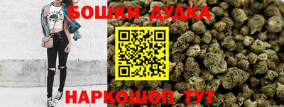 гидропоника Камышлов