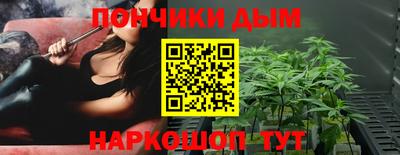гидропоника Камышлов