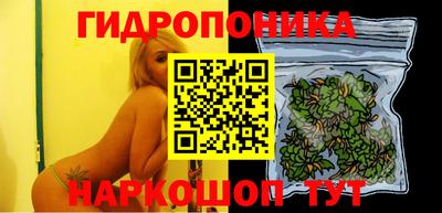 мдпв Кандалакша