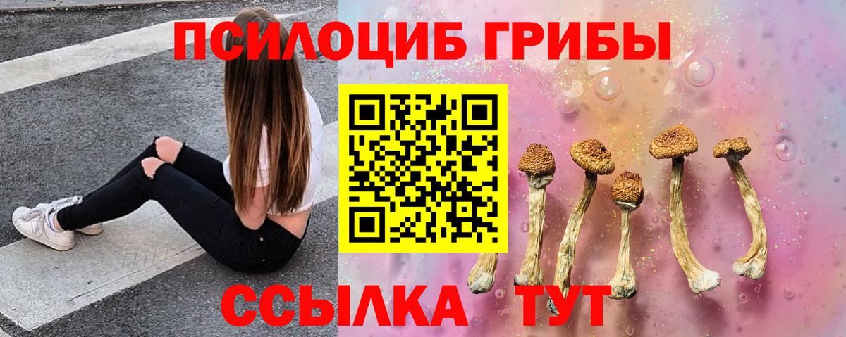 Калуга  Псилоцибиновые грибы прущие грибы  Псилоцибиновые грибы Magic Shrooms  закладки  Вход с VPN 