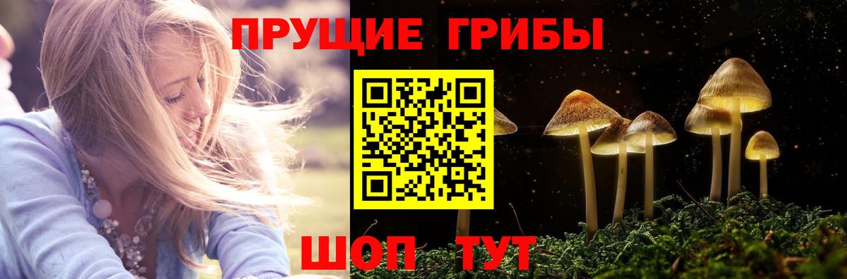 Псилоцибиновые грибы Cubensis Калуга
